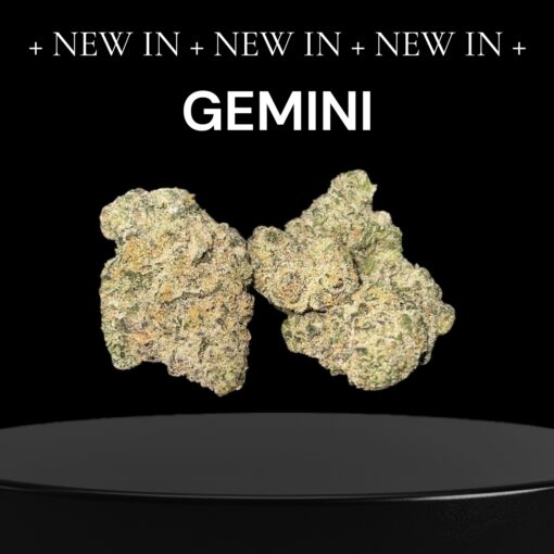 GEMINI 28grams OZ SALE INDICA EXOTICS  🔥🏆 36%THC (ALIEN LABS) LIMITED 🔥🏆