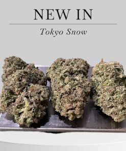 Tokyo Snow  🔥🔥🔥28g OZ ON SALE SATIVA 29%THC