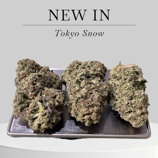 Tokyo Snow  🔥🔥🔥28g OZ ON SALE SATIVA 29%THC