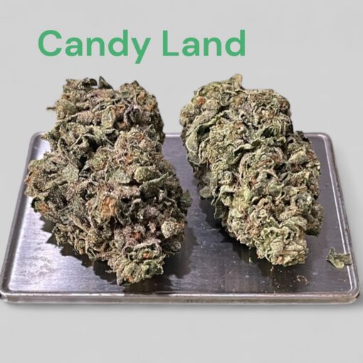CANDY LAND 28g OZ ON SALE SATIVA 🔥🔥26%THC - Image 3