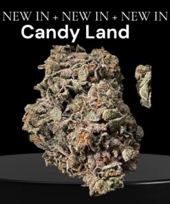 CANDY LAND 28g OZ ON SALE SATIVA 🔥🔥26%THC
