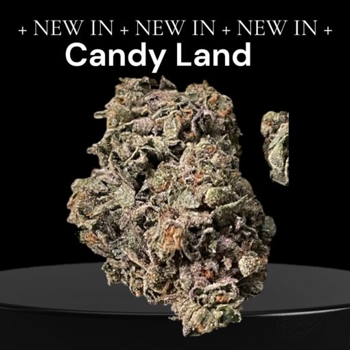 CANDY LAND 28g OZ ON SALE SATIVA 🔥🔥26%THC