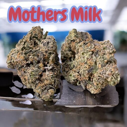 MOTHERS MILK 28g OZ ON SALE SATIVA 🔥🔥 36%THC LIMITED EXoTIC BATCH 🏆🏆
