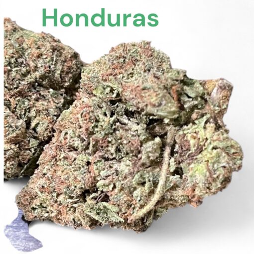 HONDURAS 28grams SATIVA 26%THC 🔥🔥 - Image 2