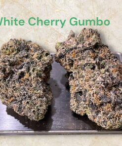 WHITE CHERRY GUMBO 28grams OZ INDICA 37%THC EXOTICS 🏆🏆