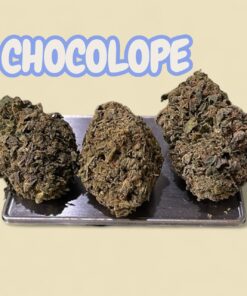 CHOCOLOPE 7GRAMS QUARTER  SATIVA 26%THC  🔥🔥