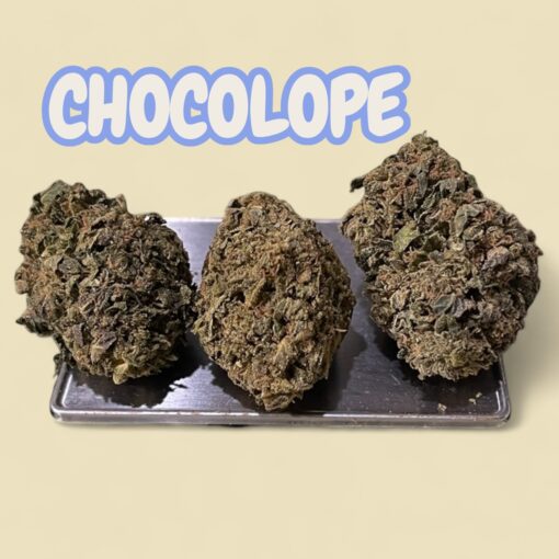 CHOCOLOPE 7GRAMS QUARTER  SATIVA 26%THC  🔥🔥