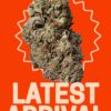 WHITE WIDOW 28grams OZ SALE 28%THC SAtIVA 🔥🔥