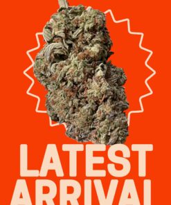 WHITE WIDOW 28grams OZ SALE 28%THC SAtIVA 🔥🔥