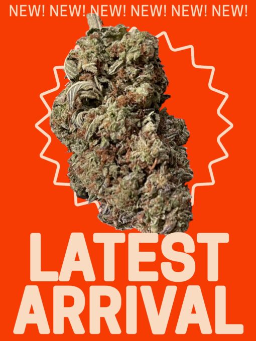 WHITE WIDOW 28grams OZ SALE 28%THC SAtIVA 🔥🔥