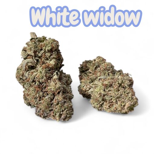 WHITE WIDOW 28grams OZ SALE 28%THC SAtIVA 🔥🔥 - Image 2