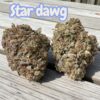 STARDAWG 28grams OZ ON SALE INDICA 26%THC