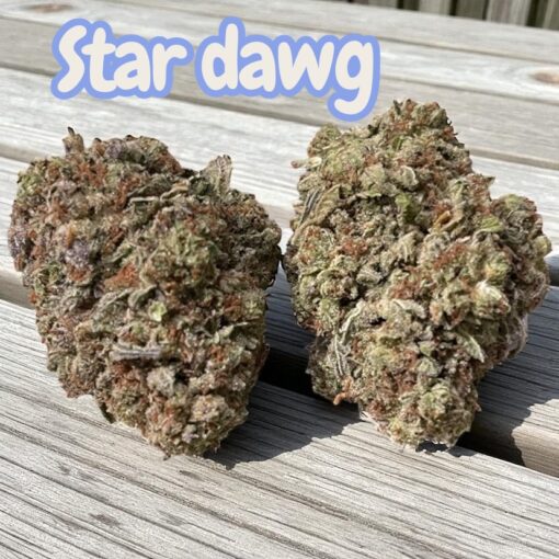 STARDAWG 28grams OZ ON SALE INDICA 26%THC
