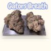 GATORS BREATH 3.5G INDICA 36%THC 🔥🔥EXOTICS