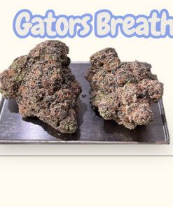 GATORS BREATH 3.5G INDICA 36%THC 🔥🔥EXOTICS