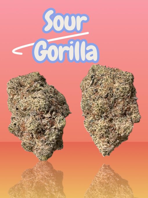 SOUR GORILLA 3.5grams SATIVA 36%THC OLD SCHOOL STRAIN  SMALL BATCH  🏆🏆
