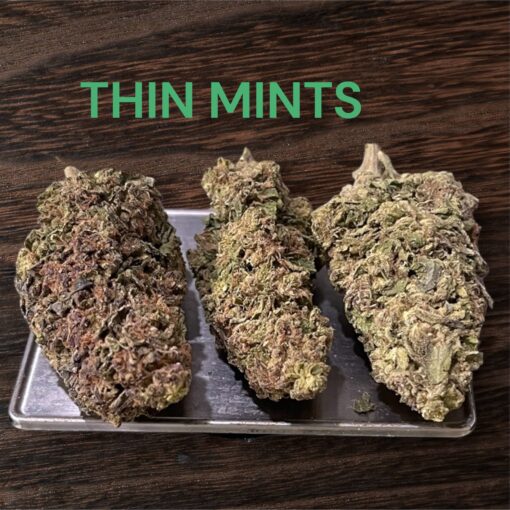 THIN MINTS 28grams OZ SALE 26%THC HYBRID