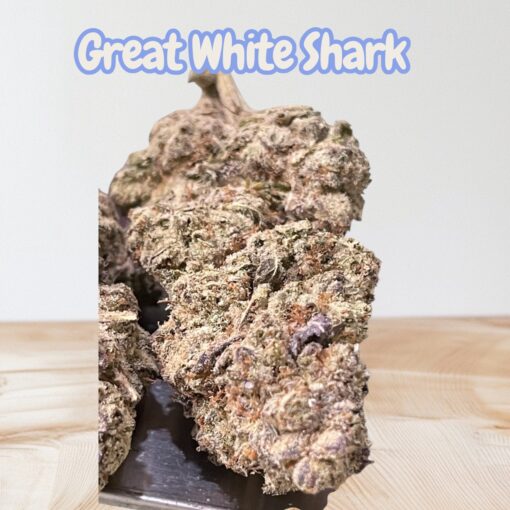 GREAT WHITE SHARK 3.5g SATIVA 30%THC 🔥🔥 - Image 4