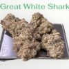 GREAT WHITE SHARK 3.5g SATIVA 30%THC 🔥🔥
