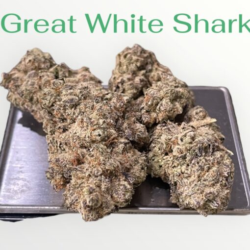 GREAT WHITE SHARK 3.5g SATIVA 30%THC 🔥🔥
