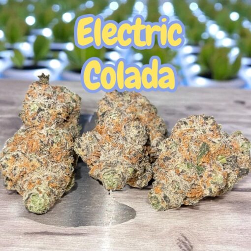 ELECTRIC COLADA 28g SATIVA EXOTICS 36%THC (High Frequency) 🔥🔥