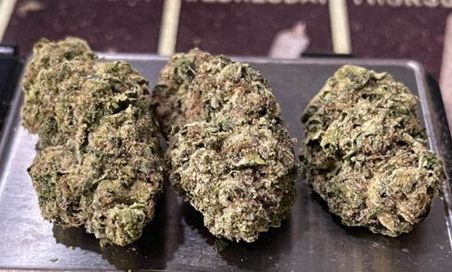 COOKIE KUSH 28grams OZ On SALE INDICA 25%THC 🔥🔥 - Image 3