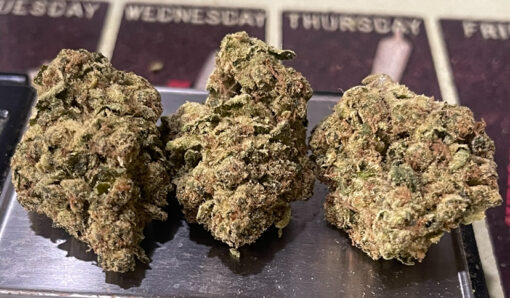 BRUCE BANNER 28grams OZ SALE 26%THC SATIVA 🔥🔥 - Image 5