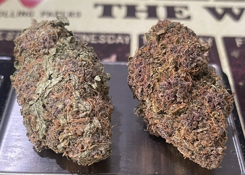 TROPICANA COOKIES 3.5g SATIVA INDOOR  31%THC - Image 3