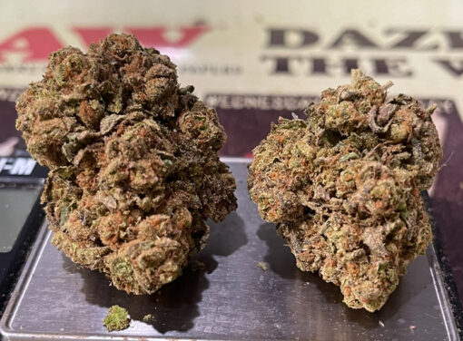 Pink Runtz 7GRAMS HYBRiD 26%THC 🎃HALO SALE🎃 - Image 4