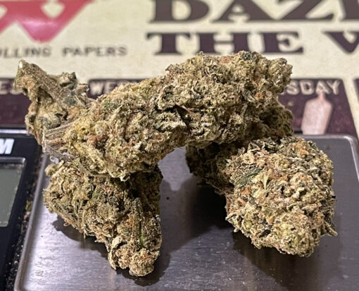 ORANGE SAFARI 28grams OZ SATIVA SALE 28%THC - Image 4
