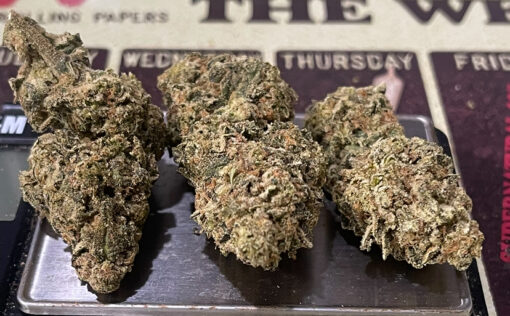 ORANGE SAFARI 28grams OZ SATIVA SALE 28%THC - Image 5