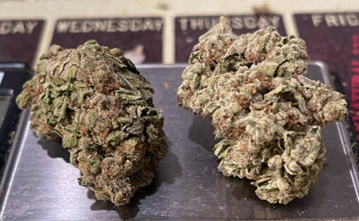 JOCKERZ 28grams OZ SALE HYBRID 28%THC 🔥🔥 - Image 3