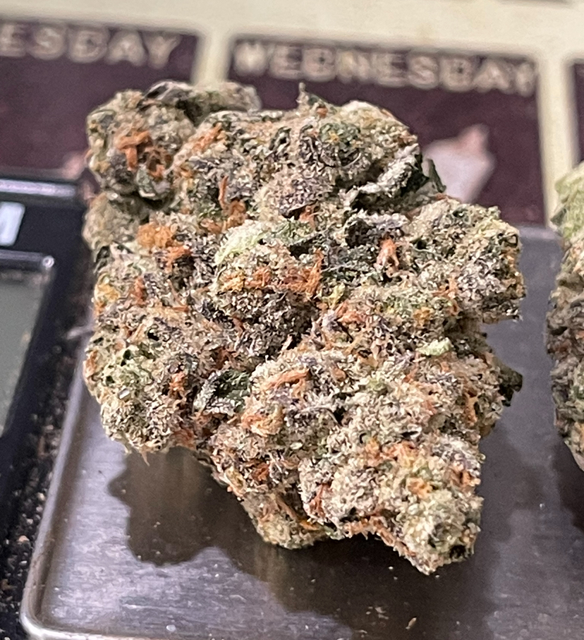 BLUE LOBSTER 28g ( Maine Trees) HYBRID EXOTIC ON SALE 37%THC 🎃HALO  SALE 🦞🦞 LIMITED BATCH🦞 EXOTIC ++ - Image 5