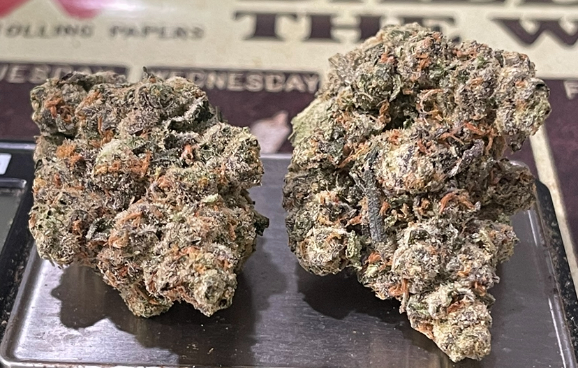 BLUE LOBSTER 28g ( Maine Trees) HYBRID EXOTIC ON SALE 37%THC 🎃HALO  SALE 🦞🦞 LIMITED BATCH🦞 EXOTIC ++ - Image 6