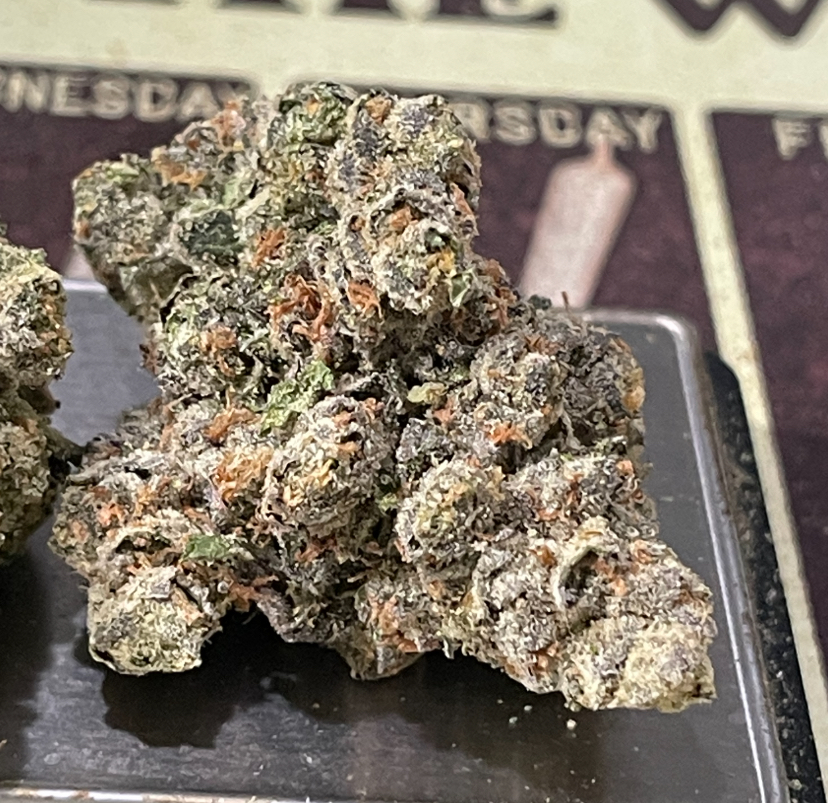 BLUE LOBSTER 28g ( Maine Trees) HYBRID EXOTIC ON SALE 37%THC 🎃HALO  SALE 🦞🦞 LIMITED BATCH🦞 EXOTIC ++ - Image 3