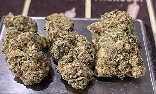 CHERRY ICE 🍒 28grams HYBRID 26%THC HYBRID - Image 2