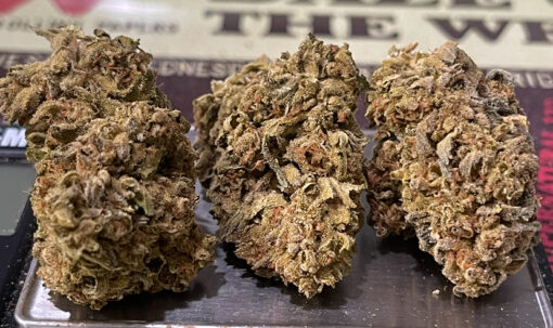 LEMON CHERRY GELATO 7GRAMS HYBRID🎃HALLO SALE🎃25%THC - Image 6