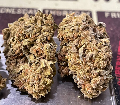 LEMON CHERRY GELATO 7GRAMS HYBRID🎃HALLO SALE🎃25%THC - Image 4