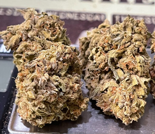 LEMON CHERRY GELATO 7GRAMS HYBRID🎃HALLO SALE🎃25%THC - Image 3