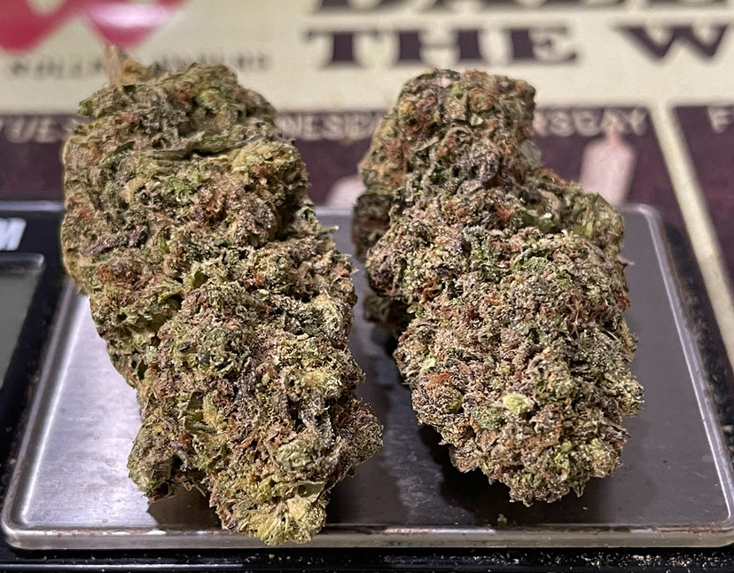 BACIO GELATO 28g OZ on SALE 25%THC HYBRID 🔥🔥 - Image 5