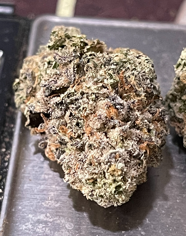 BLUE CANDY GELATO3.5G EXOTICS 36%THC 🎃HALLO SALE🎃 HYBRID EXOTiCS 🔥🔥 - Image 4