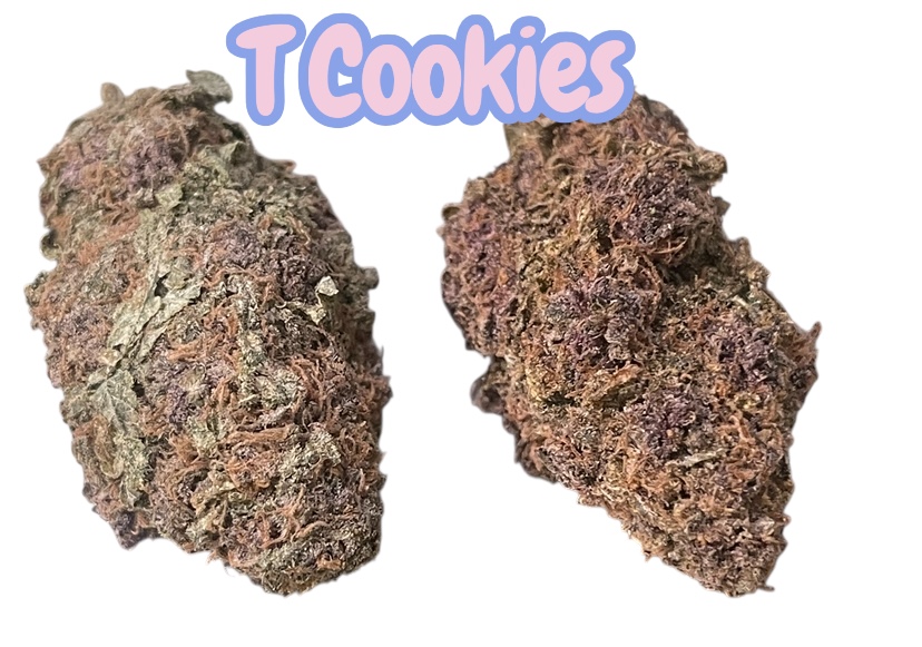 TROPICANA COOKIES 3.5g SATIVA INDOOR  31%THC