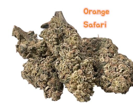 ORANGE SAFARI 28grams OZ SATIVA SALE 28%THC