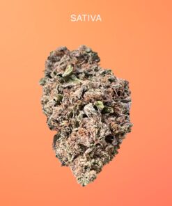 MAUI WOWIE 28grams SATIVA ON SALE 🔥🔥🔥25%THC