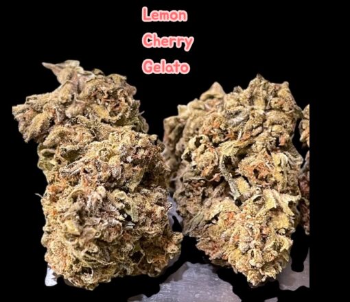 LEMON CHERRY GELATO 7GRAMS HYBRID🎃HALLO SALE🎃25%THC - Image 5