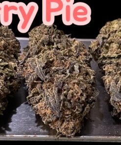 CHERRY PIE 🍒🍒7GRAMS QUARTER INDICA 🎃HALO SALE🎃25%THac