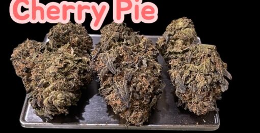 CHERRY PIE 🍒🍒7GRAMS QUARTER INDICA 🎃HALO SALE🎃25%THac