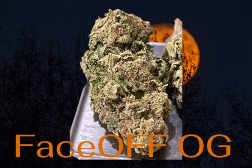 FACE OFF OG 28grams OZ SALE  INDICA 25%THC SALE - Image 2