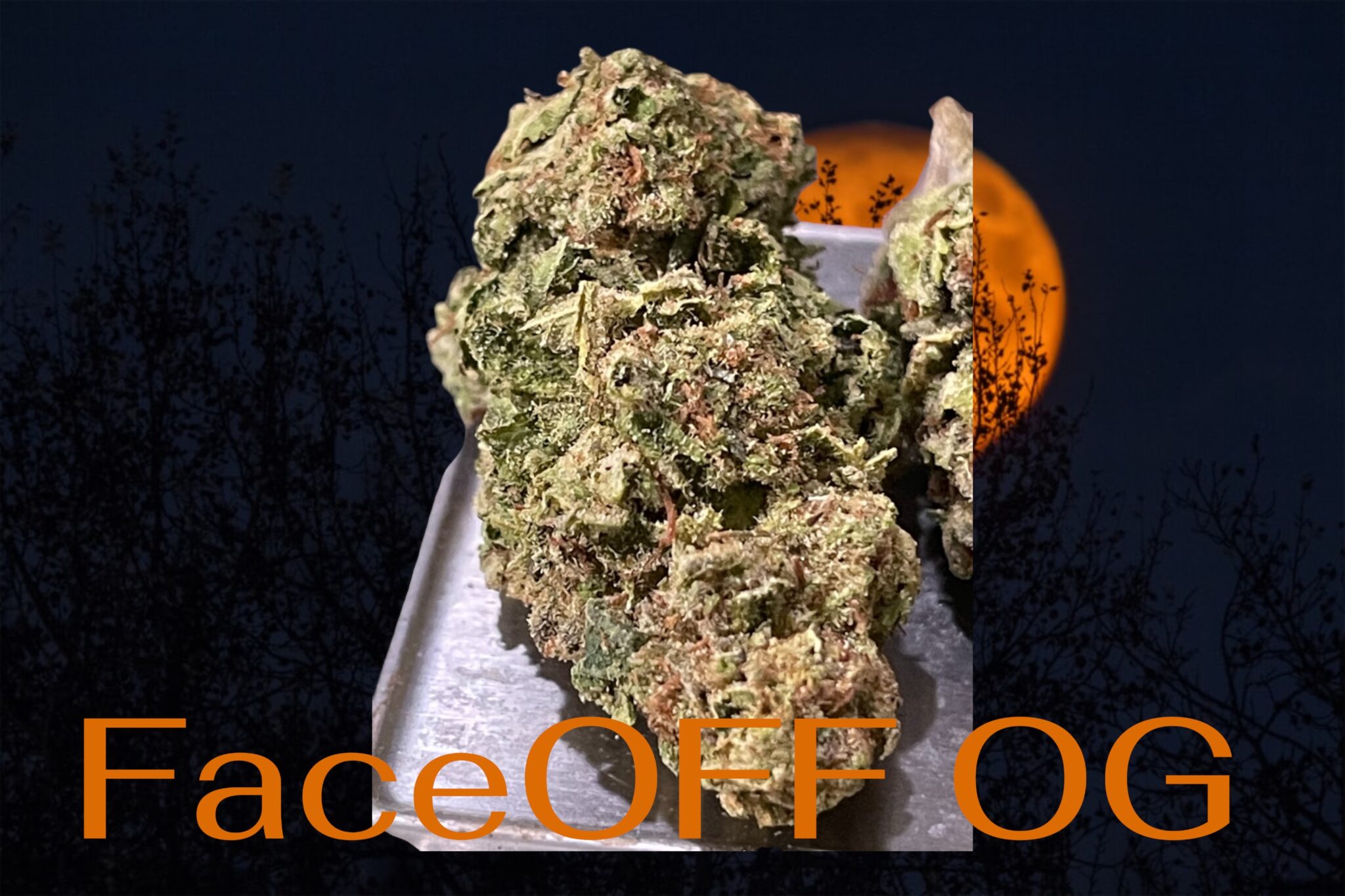 FACE OFF OG 28grams OZ SALE  INDICA 25%THC SALE - Image 2