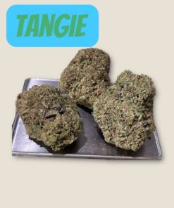 TANGIE 28g OZ on SALE SATiVA π₯π₯ 28%THC